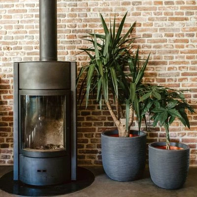 Capi Jardinière Nature Rib 54x52 cm Gris foncé 4 Capi Jardinière Nature Rib 54x52 cm Gris foncé – Image 4