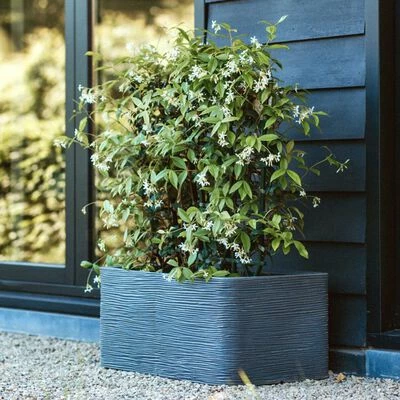 Capi Jardinière Nature Rib rectangulaire 73x39x32 cm Gris foncé 4 Capi Jardinière Nature Rib rectangulaire 73x39x32 cm Gris foncé – Image 4