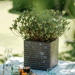 Capi Jardinière Nature Row carrée 30x30x30 cm Vert olive -Pots & cache-pots Soldes 2022 image 4 434864