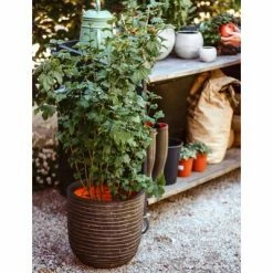 Capi Jardinière Nature Row 43x41 cm Vert olive -Pots & cache-pots Soldes 2022 image 4 434867