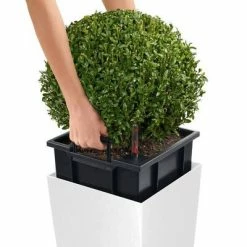 LECHUZA Jardinière CUBICO Color 22 ALL-IN-ONE Blanc 9 LECHUZA Jardinière CUBICO Color 22 ALL-IN-ONE Blanc -Pots & cache-pots Soldes 2022 image 4 442068