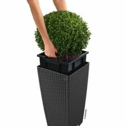 LECHUZA Jardinière CUBICO Cottage 30 ALL-IN-ONE Granite -Pots & cache-pots Soldes 2022 image 4 442079