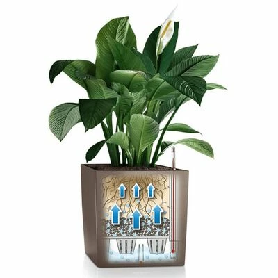 LECHUZA Jardinière CUBE 30 ALL-IN-ONE Blanc brillant 4 LECHUZA Jardinière CUBE 30 ALL-IN-ONE Blanc brillant – Image 4