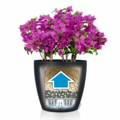 LECHUZA Jardinière CLASSICO Color 18 ALL-IN-ONE Ardoise 9 LECHUZA Jardinière CLASSICO Color 18 ALL-IN-ONE Ardoise -Pots & cache-pots Soldes 2022 image 4 443313