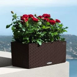 LECHUZA Jardinière BALCONERA Cottage 50 ALL-IN-ONE Moka 9 LECHUZA Jardinière BALCONERA Cottage 50 ALL-IN-ONE Moka -Pots & cache-pots Soldes 2022 image 4 443322