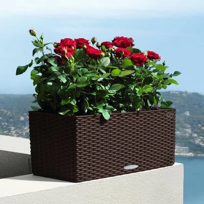LECHUZA Jardinière BALCONERA Cottage 50 ALL-IN-ONE Moka 4 LECHUZA Jardinière BALCONERA Cottage 50 ALL-IN-ONE Moka – Image 4