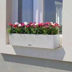 LECHUZA Jardinière BALCONERA Cottage 80 ALL-IN-ONE Blanc 9 LECHUZA Jardinière BALCONERA Cottage 80 ALL-IN-ONE Blanc -Pots & cache-pots Soldes 2022 image 4 443323