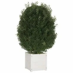 VidaXL Jardinières d'extérieur 2 pcs Blanc 40x40x40 cm Bois de pin 9 VidaXL Jardinières d'extérieur 2 pcs Blanc 40x40x40 cm Bois de pin -Pots & cache-pots Soldes 2022 image 4 810537