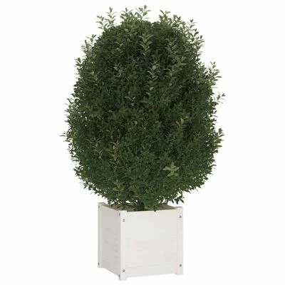 VidaXL Jardinières d'extérieur 2 pcs Blanc 40x40x40 cm Bois de pin 4 VidaXL Jardinières d'extérieur 2 pcs Blanc 40x40x40 cm Bois de pin – Image 4