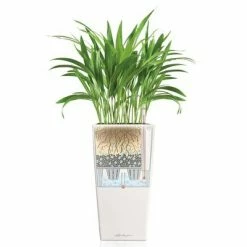 LECHUZA Jardinière Cubico Color 40 ALL-IN-ONE Blanc 13150 10 LECHUZA Jardinière Cubico Color 40 ALL-IN-ONE Blanc 13150 -Pots & cache-pots Soldes 2022 image 5 421427