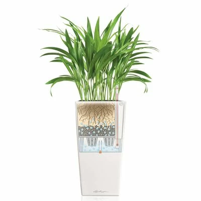 LECHUZA Jardinière Cubico Color 40 ALL-IN-ONE Blanc 13150 5 LECHUZA Jardinière Cubico Color 40 ALL-IN-ONE Blanc 13150 – Image 5