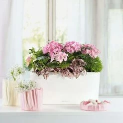 LECHUZA Jardinière de table Delta 20 ALL-IN-ONE Blanc brillant 15560 -Pots & cache-pots Soldes 2022 image 5 421453