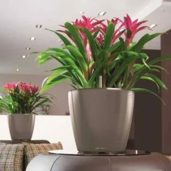 LECHUZA Jardinière Classico 43 LS ALL-IN-ONE Taupe brillant 16085 -Pots & cache-pots Soldes 2022 image 5 421474