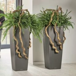 LECHUZA Jardinière Cubico Alto 40 ALL-IN-ONE Charbon 18233 10 LECHUZA Jardinière Cubico Alto 40 ALL-IN-ONE Charbon 18233 -Pots & cache-pots Soldes 2022 image 5 421494