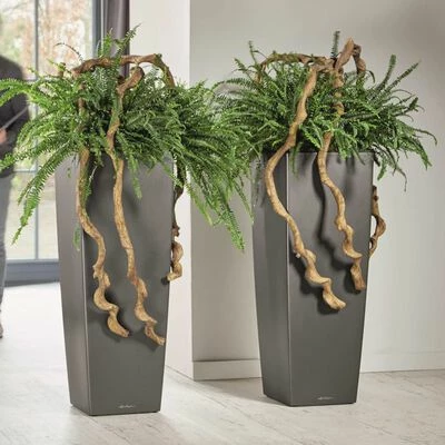 LECHUZA Jardinière Cubico Alto 40 ALL-IN-ONE Charbon 18233 5 LECHUZA Jardinière Cubico Alto 40 ALL-IN-ONE Charbon 18233 – Image 5