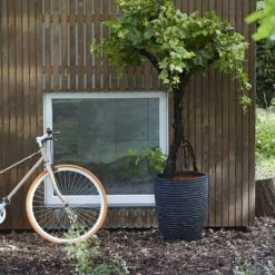 Capi Pot à fleurs Nature Row Élégant bas 36 x 47 cm Anthracite KRWZ782 -Pots & cache-pots Soldes 2022 image 5 424278