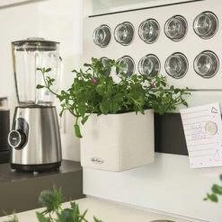 LECHUZA 3 pcs Jardinières Green Wall Home Kit Blanc 10 LECHUZA 3 pcs Jardinières Green Wall Home Kit Blanc -Pots & cache-pots Soldes 2022 image 5 425619