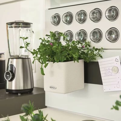 LECHUZA 3 pcs Jardinières Green Wall Home Kit Blanc 5 LECHUZA 3 pcs Jardinières Green Wall Home Kit Blanc – Image 5