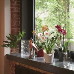 LECHUZA Jardinière ORCHIDEA ALL-IN-ONE Blanc mat 10 LECHUZA Jardinière ORCHIDEA ALL-IN-ONE Blanc mat -Pots & cache-pots Soldes 2022 image 5 425623