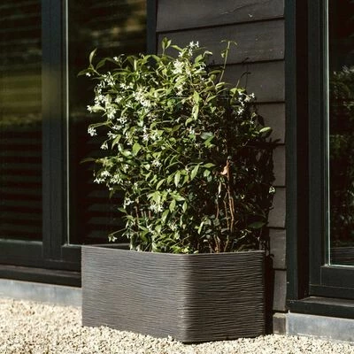 Capi Jardinière Nature Rib rectangulaire 73x39x32 cm Gris foncé 5 Capi Jardinière Nature Rib rectangulaire 73x39x32 cm Gris foncé – Image 5