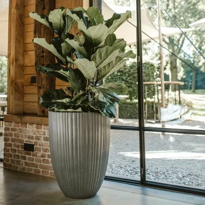 Capi Pot à fleurs Urban Tube bas élégant 55x73 cm Gris foncé 5 Capi Pot à fleurs Urban Tube bas élégant 55x73 cm Gris foncé – Image 5