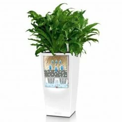 LECHUZA Jardinière CUBICO Color 22 ALL-IN-ONE Blanc 10 LECHUZA Jardinière CUBICO Color 22 ALL-IN-ONE Blanc -Pots & cache-pots Soldes 2022 image 5 442068