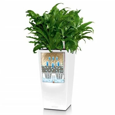 LECHUZA Jardinière CUBICO Color 22 ALL-IN-ONE Blanc 5 LECHUZA Jardinière CUBICO Color 22 ALL-IN-ONE Blanc – Image 5