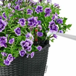 LECHUZA Jardinière NIDO Cottage 28 ALL-IN-ONE Granite -Pots & cache-pots Soldes 2022 image 5 442078