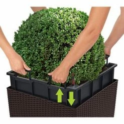 LECHUZA Jardinière CUBE Cottage 40 ALL-IN-ONE Moka 10 LECHUZA Jardinière CUBE Cottage 40 ALL-IN-ONE Moka -Pots & cache-pots Soldes 2022 image 5 442086