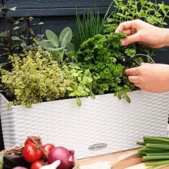 LECHUZA Jardinière BALCONERA Cottage 50 ALL-IN-ONE Blanc 10 LECHUZA Jardinière BALCONERA Cottage 50 ALL-IN-ONE Blanc -Pots & cache-pots Soldes 2022 image 5 442089