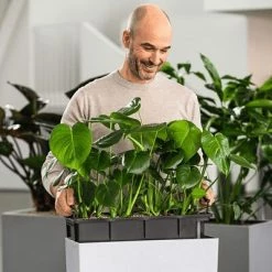 LECHUZA Jardinière BALCONERA Stone 50 ALL-IN-ONE Blanc quartz -Pots & cache-pots Soldes 2022 image 5 442091