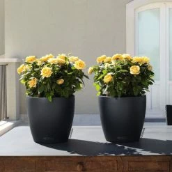 LECHUZA Jardinière CLASSICO Color 21 ALL-IN-ONE Ardoise 10 LECHUZA Jardinière CLASSICO Color 21 ALL-IN-ONE Ardoise -Pots & cache-pots Soldes 2022 image 5 443311