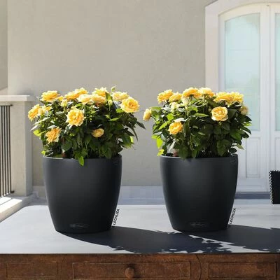 LECHUZA Jardinière CLASSICO Color 21 ALL-IN-ONE Ardoise 5 LECHUZA Jardinière CLASSICO Color 21 ALL-IN-ONE Ardoise – Image 5