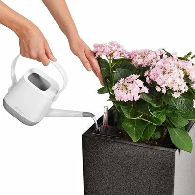 LECHUZA Jardinière CANTO Stone 40 High ALL-IN-ONE Noir graphite 5 LECHUZA Jardinière CANTO Stone 40 High ALL-IN-ONE Noir graphite – Image 5