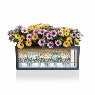 LECHUZA Jardinière BALCONERA Cottage 50 ALL-IN-ONE Moka 5 LECHUZA Jardinière BALCONERA Cottage 50 ALL-IN-ONE Moka – Image 5