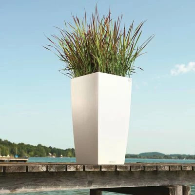 LECHUZA Jardinière Cubico Color 40 ALL-IN-ONE Blanc 13150 6 LECHUZA Jardinière Cubico Color 40 ALL-IN-ONE Blanc 13150 – Image 6