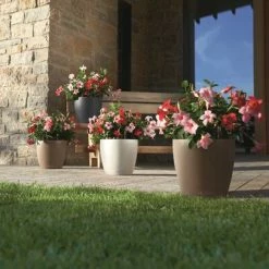 LECHUZA Jardinière Classico Color 43 ALL-IN-ONE Ardoise 13244 11 LECHUZA Jardinière Classico Color 43 ALL-IN-ONE Ardoise 13244 -Pots & cache-pots Soldes 2022 image 6 421438