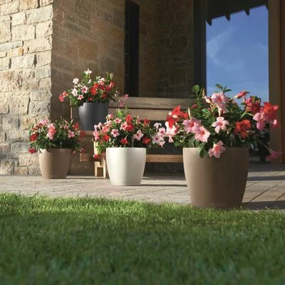 LECHUZA Jardinière Classico Color 43 ALL-IN-ONE Ardoise 13244 6 LECHUZA Jardinière Classico Color 43 ALL-IN-ONE Ardoise 13244 – Image 6