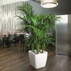 LECHUZA Jardinière Quadro 28 LS ALL-IN-ONE Blanc brillant 16140 11 LECHUZA Jardinière Quadro 28 LS ALL-IN-ONE Blanc brillant 16140 -Pots & cache-pots Soldes 2022 image 6 421475