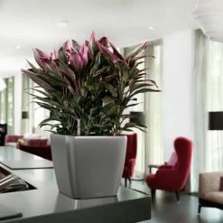 LECHUZA Jardinière Quadro 28 LS ALL-IN-ONE Charbon 16143 -Pots & cache-pots Soldes 2022 image 6 421476