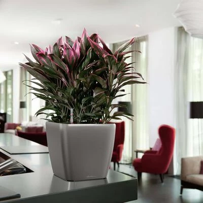 LECHUZA Jardinière Quadro 35 LS ALL-IN-ONE Charbon 16163 6 LECHUZA Jardinière Quadro 35 LS ALL-IN-ONE Charbon 16163 – Image 6