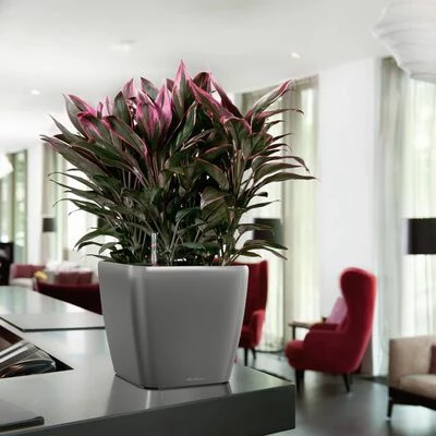 LECHUZA Jardinière Quadro 43 LS ALL-IN-ONE Charbon 16183 6 LECHUZA Jardinière Quadro 43 LS ALL-IN-ONE Charbon 16183 – Image 6