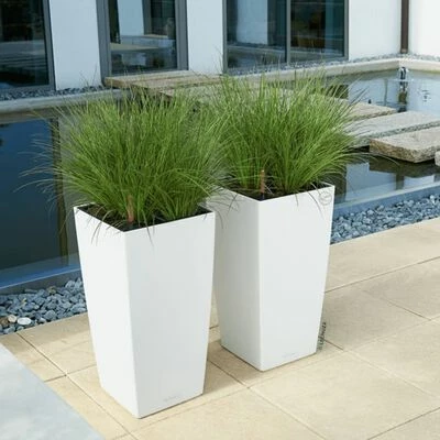 LECHUZA Jardinière CUBICO Color 22 ALL-IN-ONE Blanc 6 LECHUZA Jardinière CUBICO Color 22 ALL-IN-ONE Blanc – Image 6