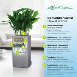 LECHUZA Jardinière CANTO Stone 40 High ALL-IN-ONE Gris pierre 11 LECHUZA Jardinière CANTO Stone 40 High ALL-IN-ONE Gris pierre -Pots & cache-pots Soldes 2022 image 6 442071