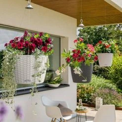 LECHUZA Jardinière NIDO Cottage 28 ALL-IN-ONE Blanc 11 LECHUZA Jardinière NIDO Cottage 28 ALL-IN-ONE Blanc -Pots & cache-pots Soldes 2022 image 6 442077