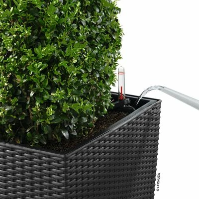 LECHUZA Jardinière CUBE Cottage 40 ALL-IN-ONE Granite 6 LECHUZA Jardinière CUBE Cottage 40 ALL-IN-ONE Granite – Image 6