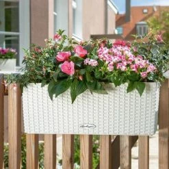LECHUZA Jardinière BALCONERA Cottage 50 ALL-IN-ONE Blanc 11 LECHUZA Jardinière BALCONERA Cottage 50 ALL-IN-ONE Blanc -Pots & cache-pots Soldes 2022 image 6 442089