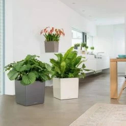 LECHUZA Jardinière CUBE 30 ALL-IN-ONE Blanc brillant 11 LECHUZA Jardinière CUBE 30 ALL-IN-ONE Blanc brillant -Pots & cache-pots Soldes 2022 image 6 442097