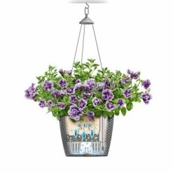 LECHUZA Jardinière suspendue NIDO Cottage 28 ALL-IN-ONE Moka -Pots & cache-pots Soldes 2022 image 6 443327