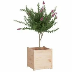 VidaXL Jardinière 50x50x50 cm Bois de pin massif -Pots & cache-pots Soldes 2022 image 6 810546
